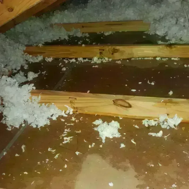 Attic Water Damage in Alum Creek, WV